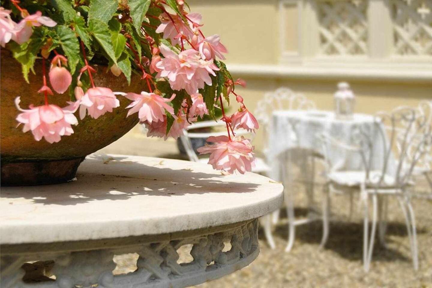 Villa La Moresca Relais De Charme B&B Montecatini Alto (Adults Only) الغرفة الصورة